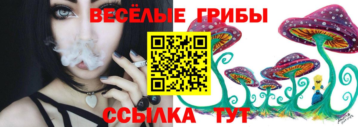 Галлюциногенные грибы Cubensis  Вход с VPN  Верхняя Пышма 