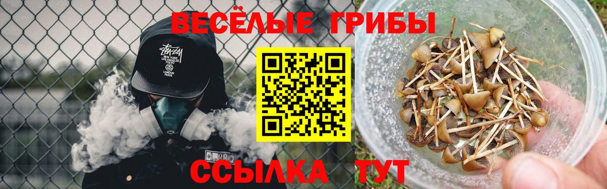 Галлюциногенные грибы GOLDEN TEACHER Верхняя Пышма